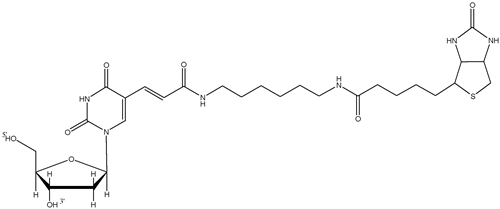 biotin-dt