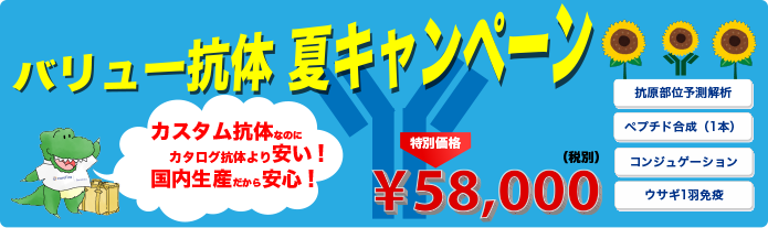 “バリュー抗体夏キャンペーン2018"