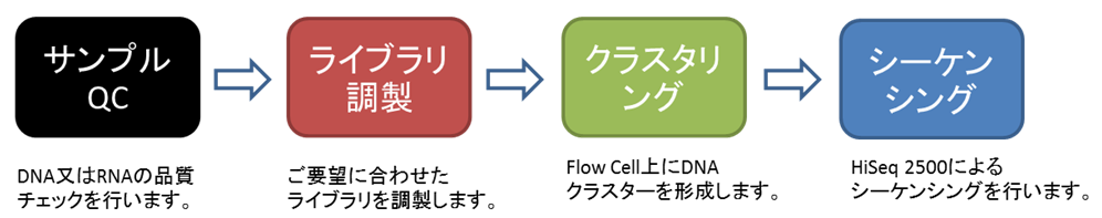 実験原理